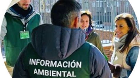 Buscar empleo: 38 ofertas de trabajo en Alzira (diciembre 2024 ...